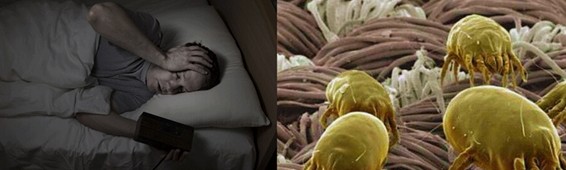 zR_(ki)B(ti)ܼҾ4.0r(sh)