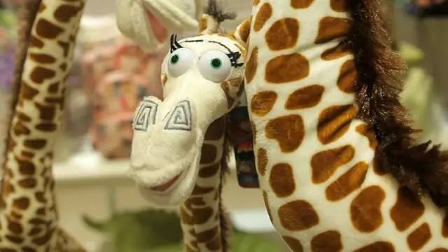 �L(f��ng)�Һ��(y��ng)�ĄPʢ�Ҿ������^�µ��_(k��i)�I(y��)���Ȳ�������ȥ��