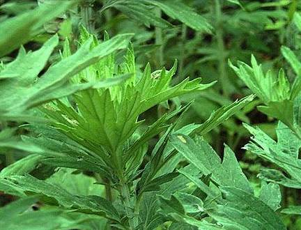 ���ľӼ�����ٛ���x�Ҽ����������B����