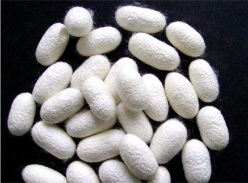 ͬǽzW_{ʲôf(shu)(i)R