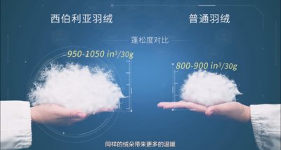 ˮǼҼZq -- (li)ԘO؅^ıů