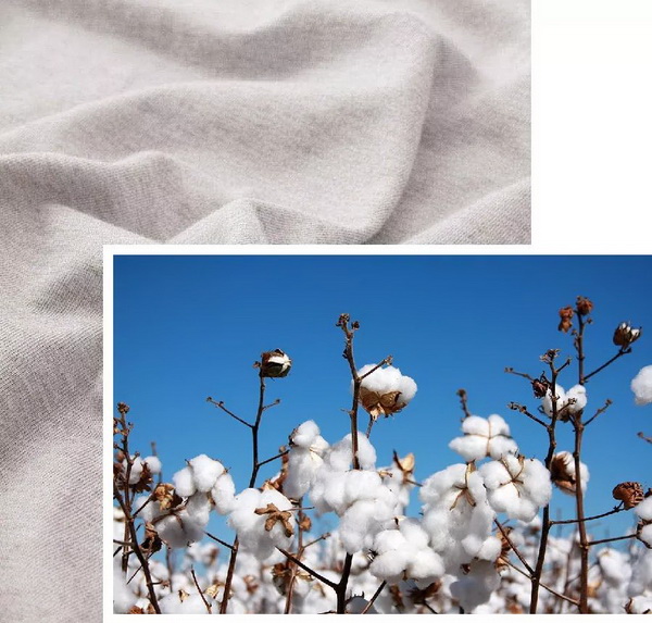 COMOLIVINGƳ~˯ߵęn