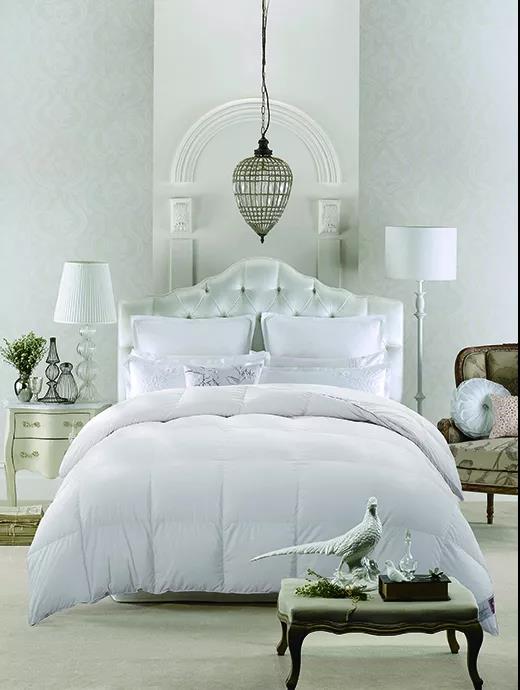 ƷZq˜ʳ_쿴I(mi)ı_˛](mi)