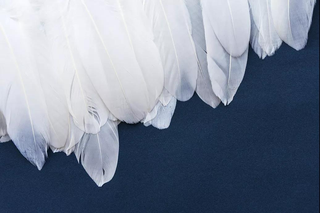 ƷZq˜ʳ_쿴I(mi)ı_˛](mi)