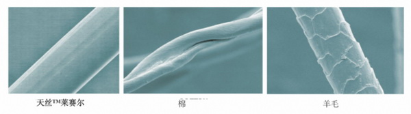 cpM(mn)ҼҾmz™ƷwS